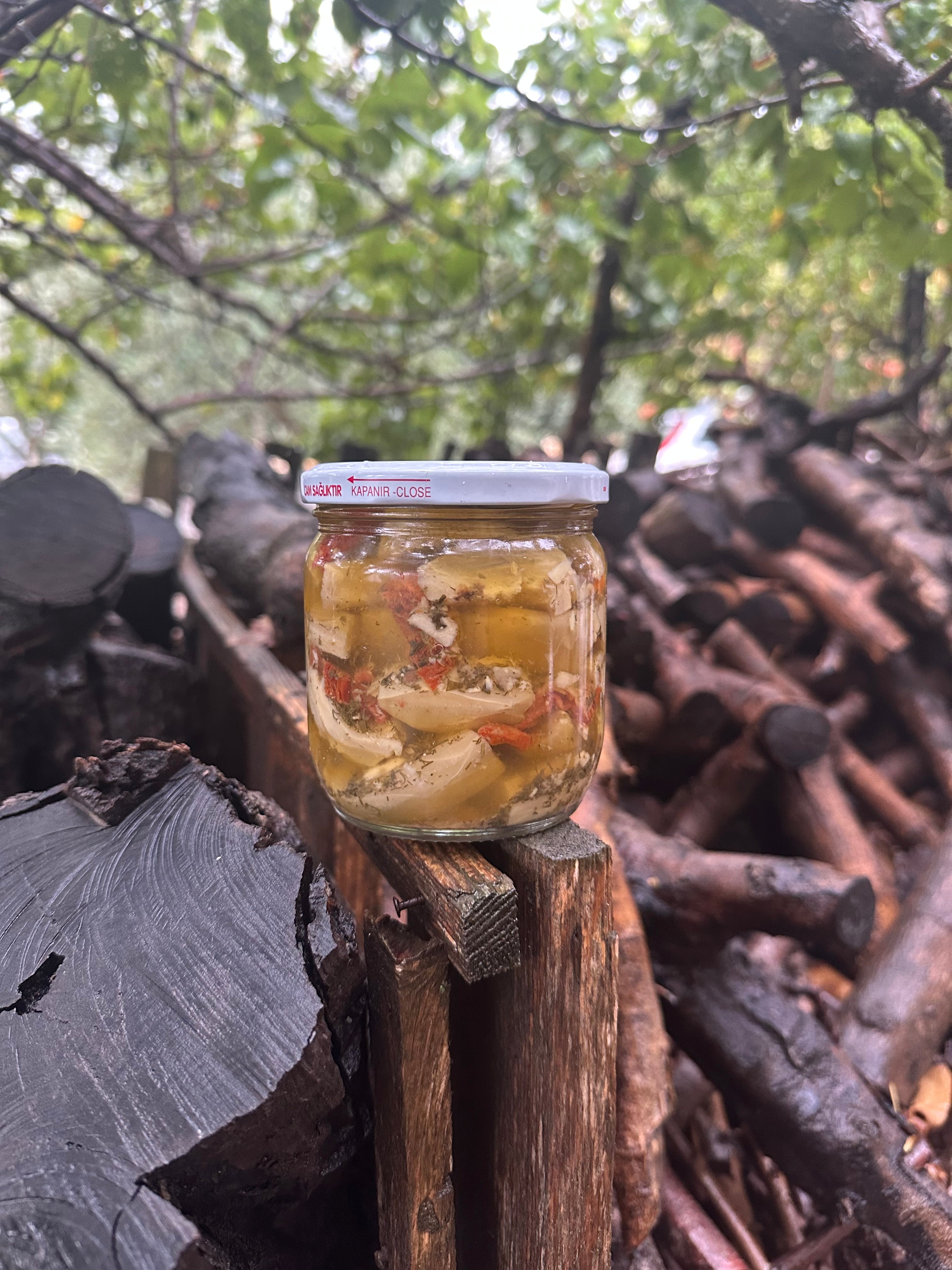 Marine Enginar Salatası