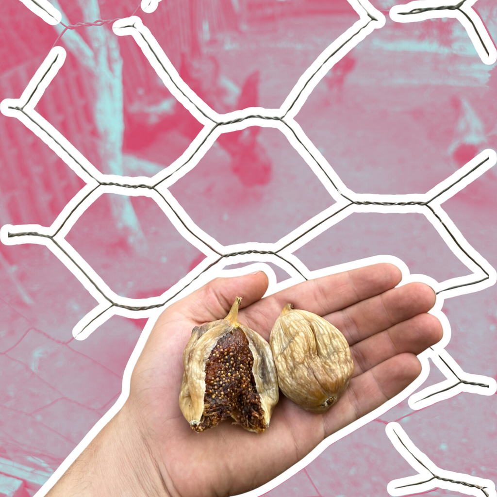 Bidondaki Doğal Kuru İncir (2 KG)