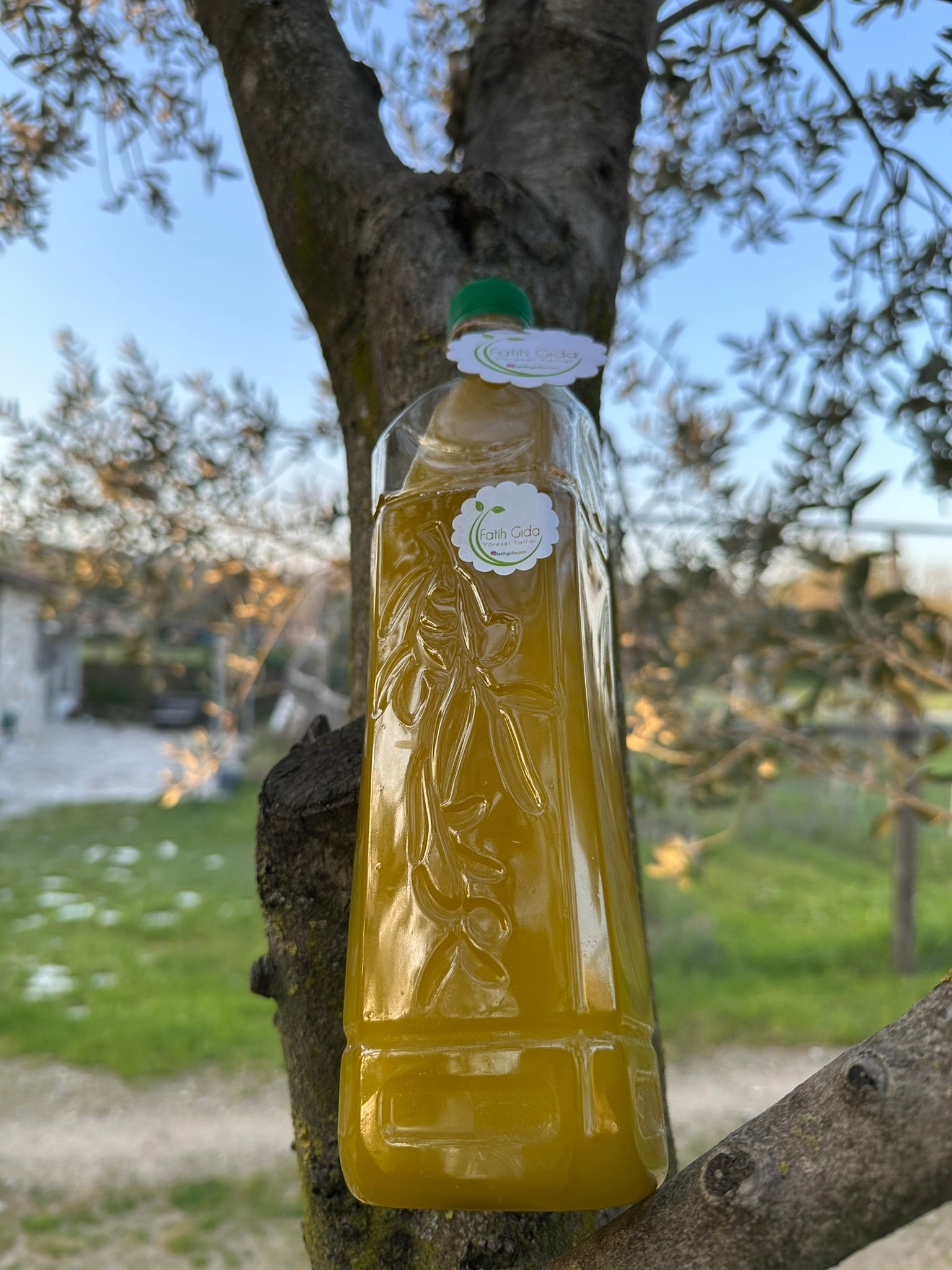 Soğuk Sıkım Taş Baskı Zeytinyağı