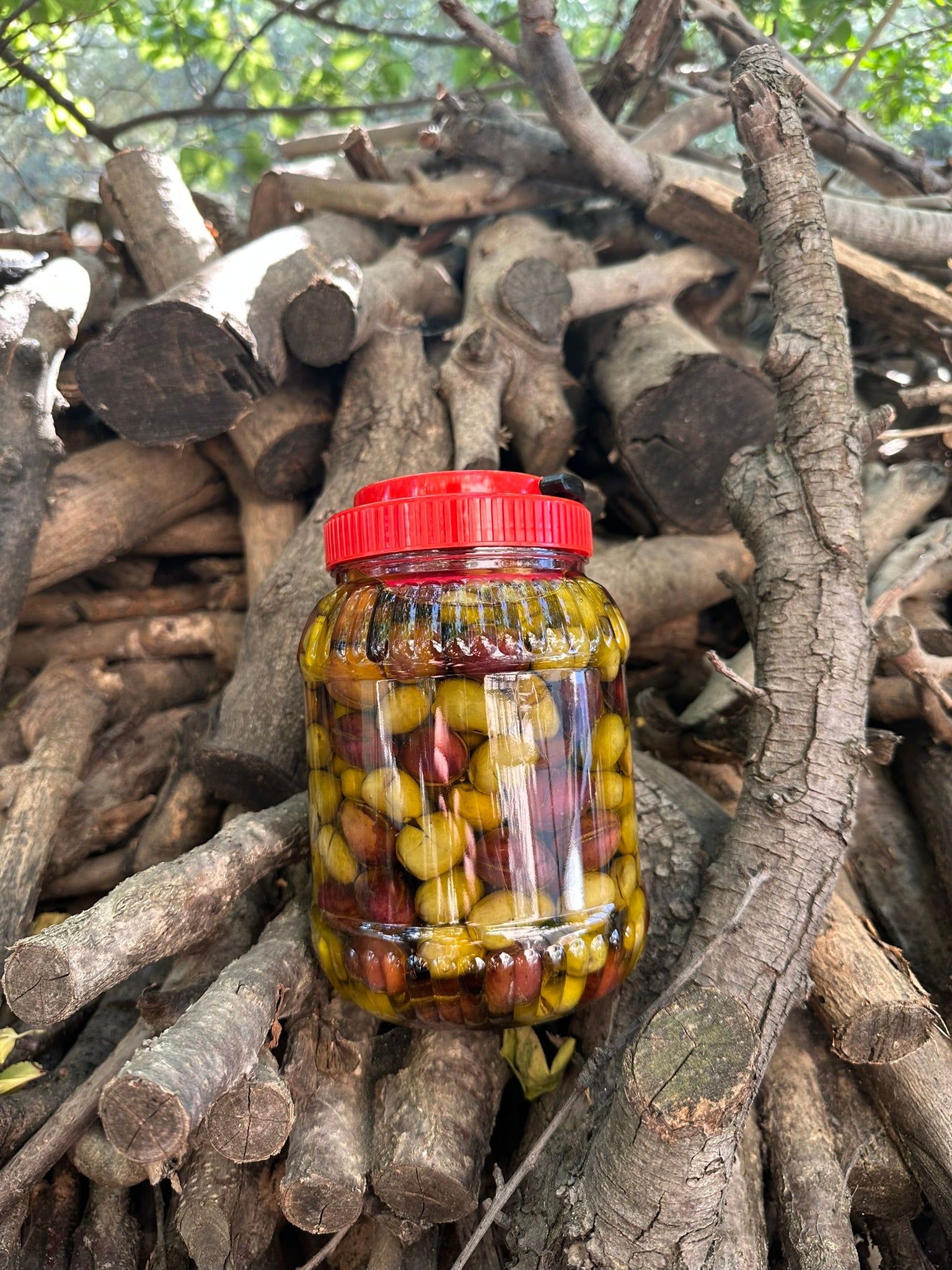 Karışık Kırma ve Dilme Zeytin Zeytinyağlı Gönderim